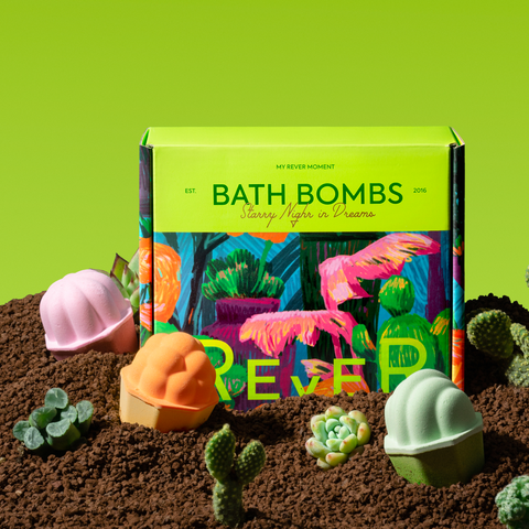 REVER SPA SUCCULENT Shaped Bath Bomb Box