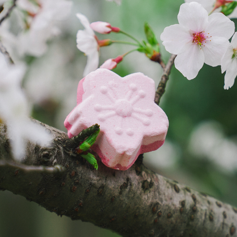 REVER SPA Cherry Blossom Flower Bath Bomb